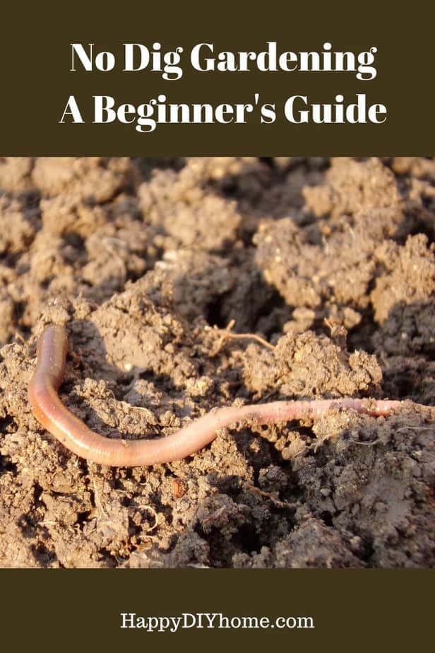 No Till Gardening Guide - How to Create a No Dig Garden - Happy DIY Home