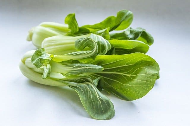 14 Pak Choi can be a difficult crop to grow 14 Pak Choi can be a difficult crop to grow